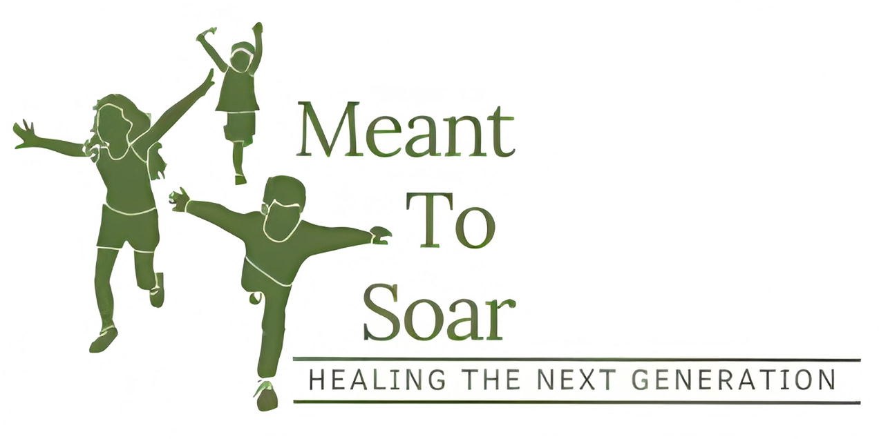 Meant to Soar – Helping Children Heal From Trauma