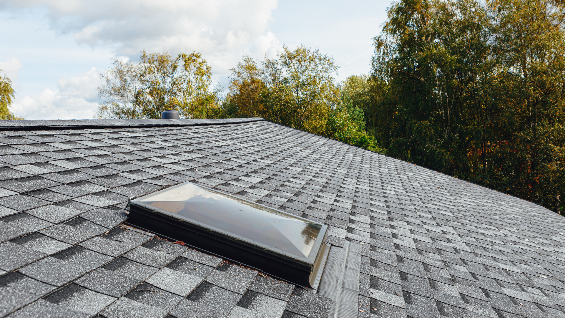 A roof with a skylight on it and trees in the background.