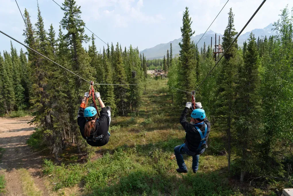 Two people riding tire swings through a young evergreen tree nursery