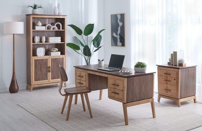 Bright home office with wooden desk, chair, bookcase, floor lamp, and potted plants in a sunlit room