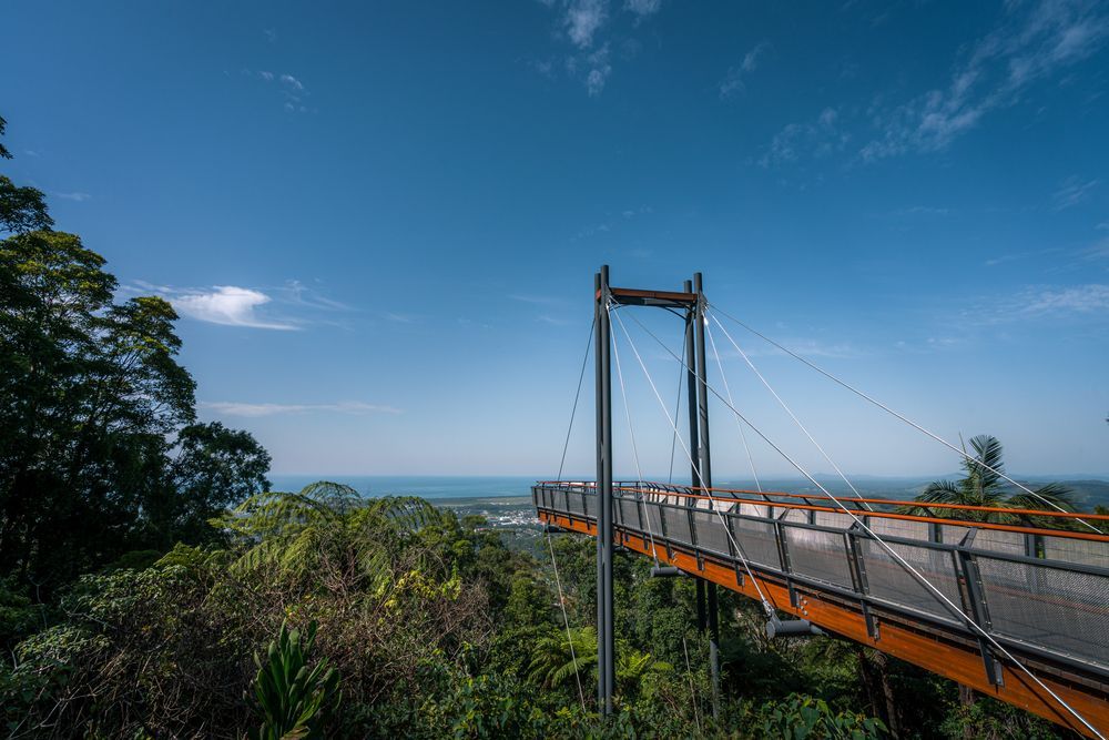 A Long Bridge Over a Forest in Coffs Harbour — Currie Bros Engine Reconditioners in Coffs Harbour, NSW