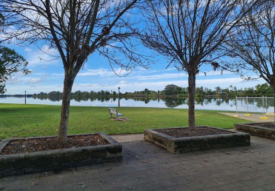 A Park in Taree With Trees and a Lake in the Background — Currie Bros Engine Reconditioners in Taree, NSW