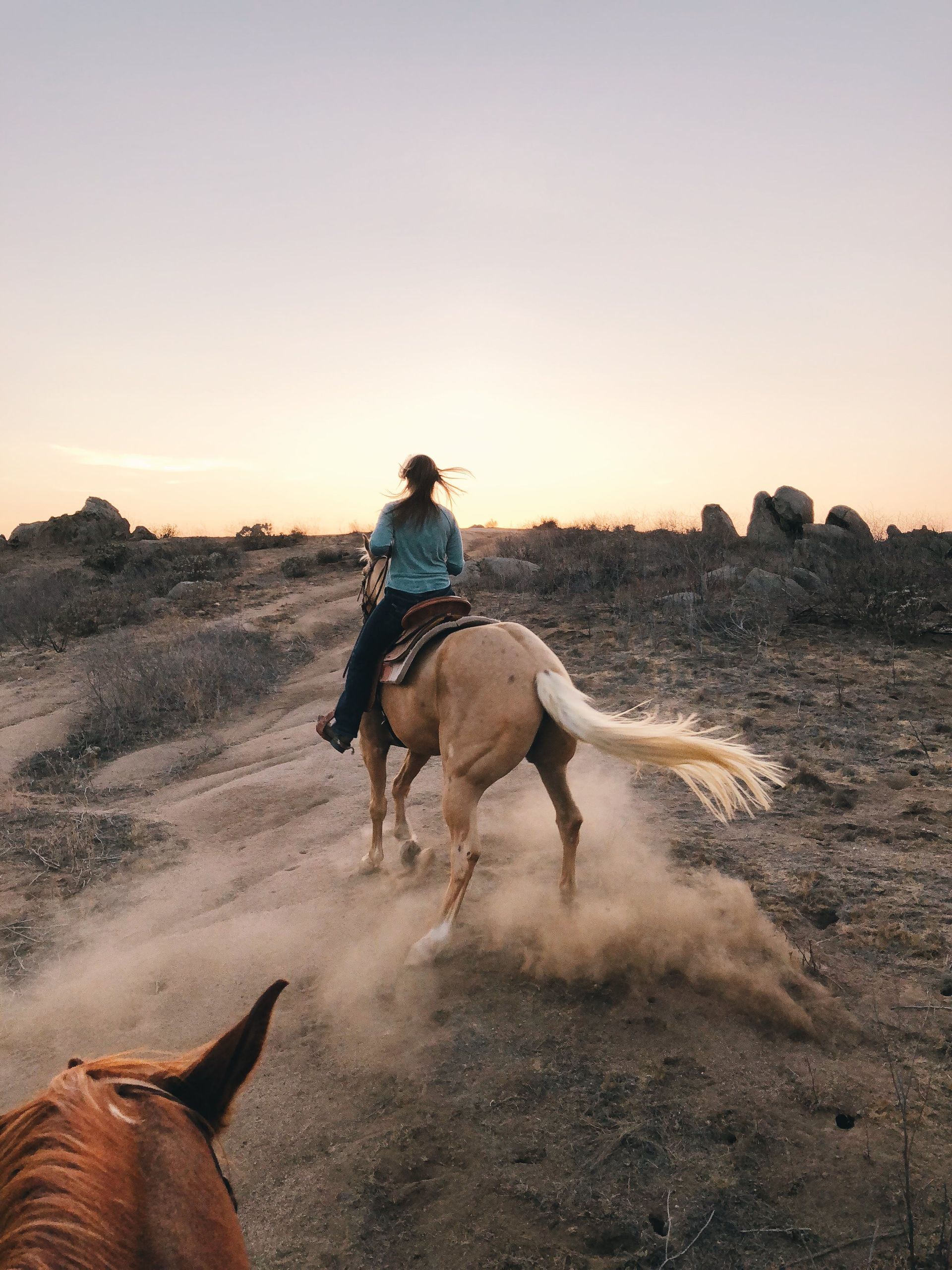 elika cave suites, cappadocia, horse riding