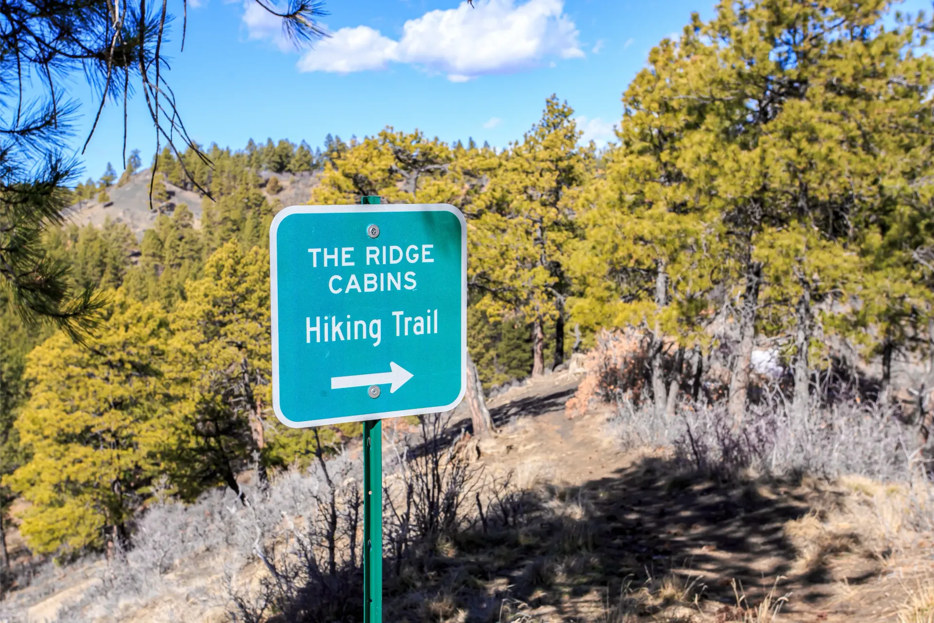A green sign for 