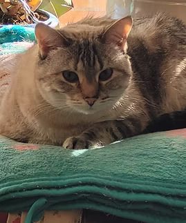 Mildred