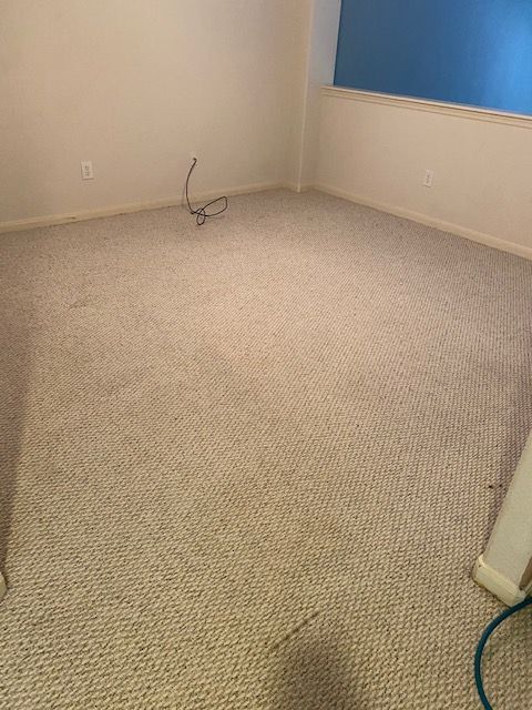 cleaning with vacuum cleaner