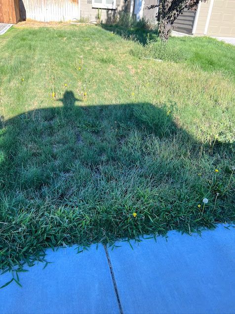 A Shadow of a Man in a Hat is Cast on a Lush Green Lawn — Kennewick, WA — Green Hills Landscaping LLC