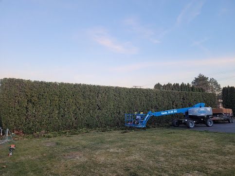 A Blue Crane is Cutting a Hedge in a Field — Kennewick, WA — Green Hills Landscaping LLC A Blue Crane is Cutting a Hedge in a Field — Kennewick, WA — Green Hills Landscaping LLC