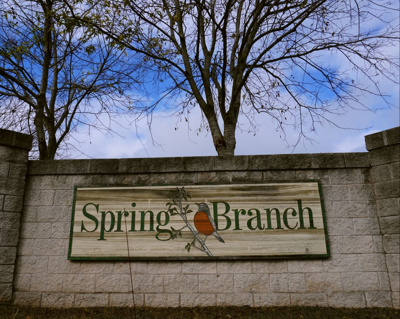 Spring Branch