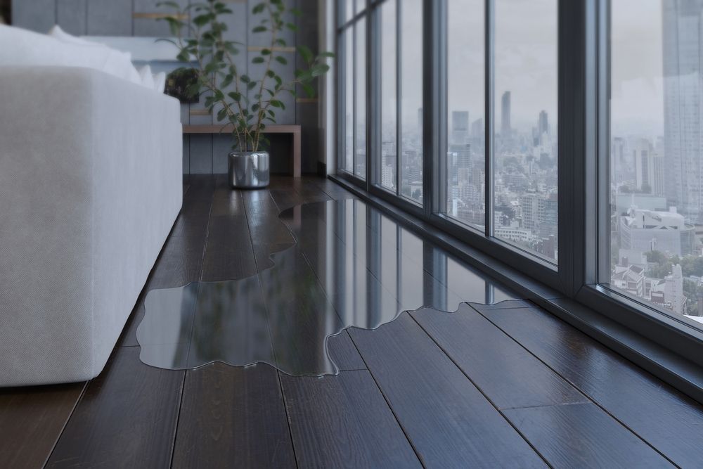 Water damage on dark wood floor near window with city view, near white sofa and plant.