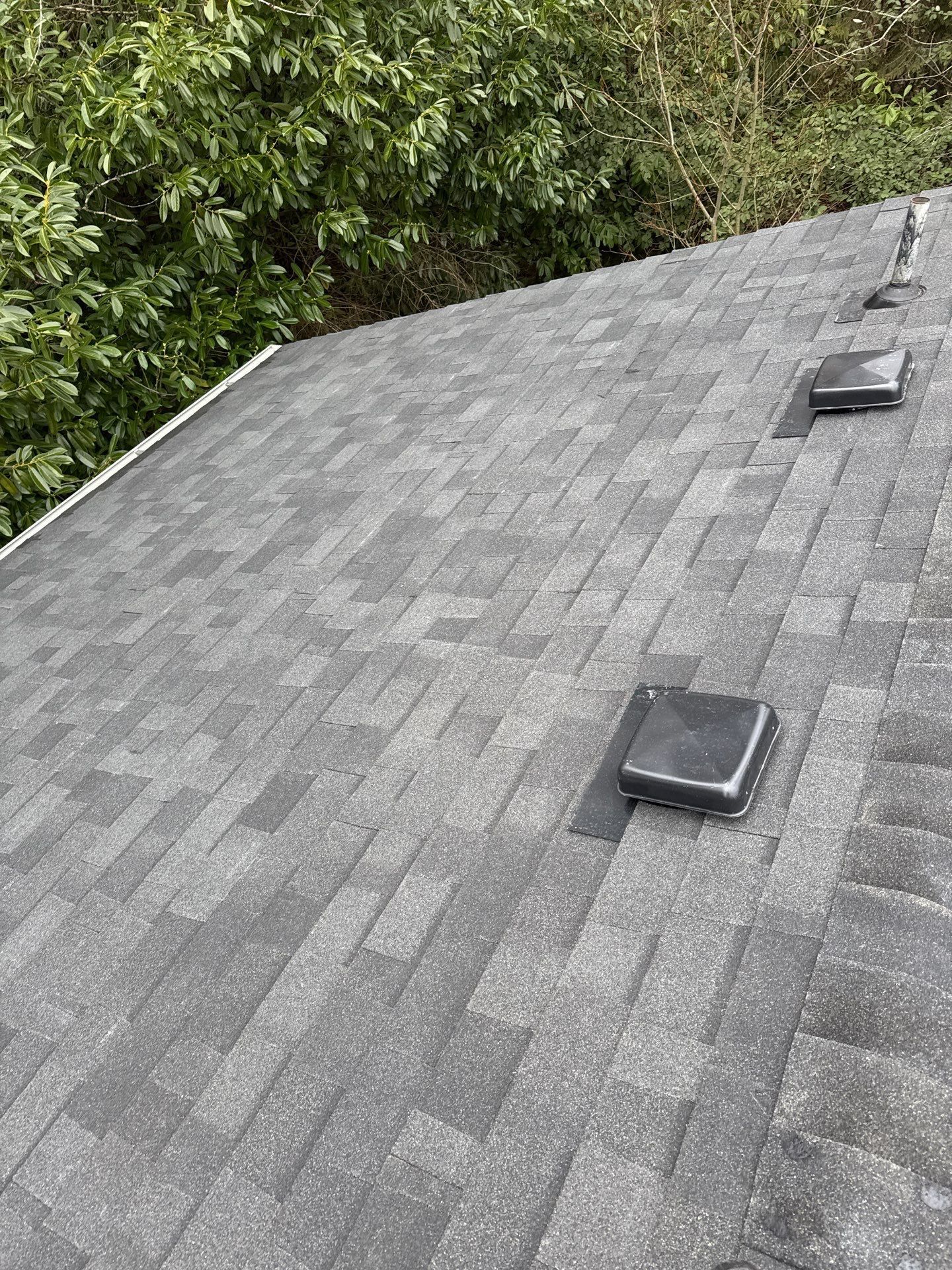 Gray shingled roof with two vents, bordered by green trees