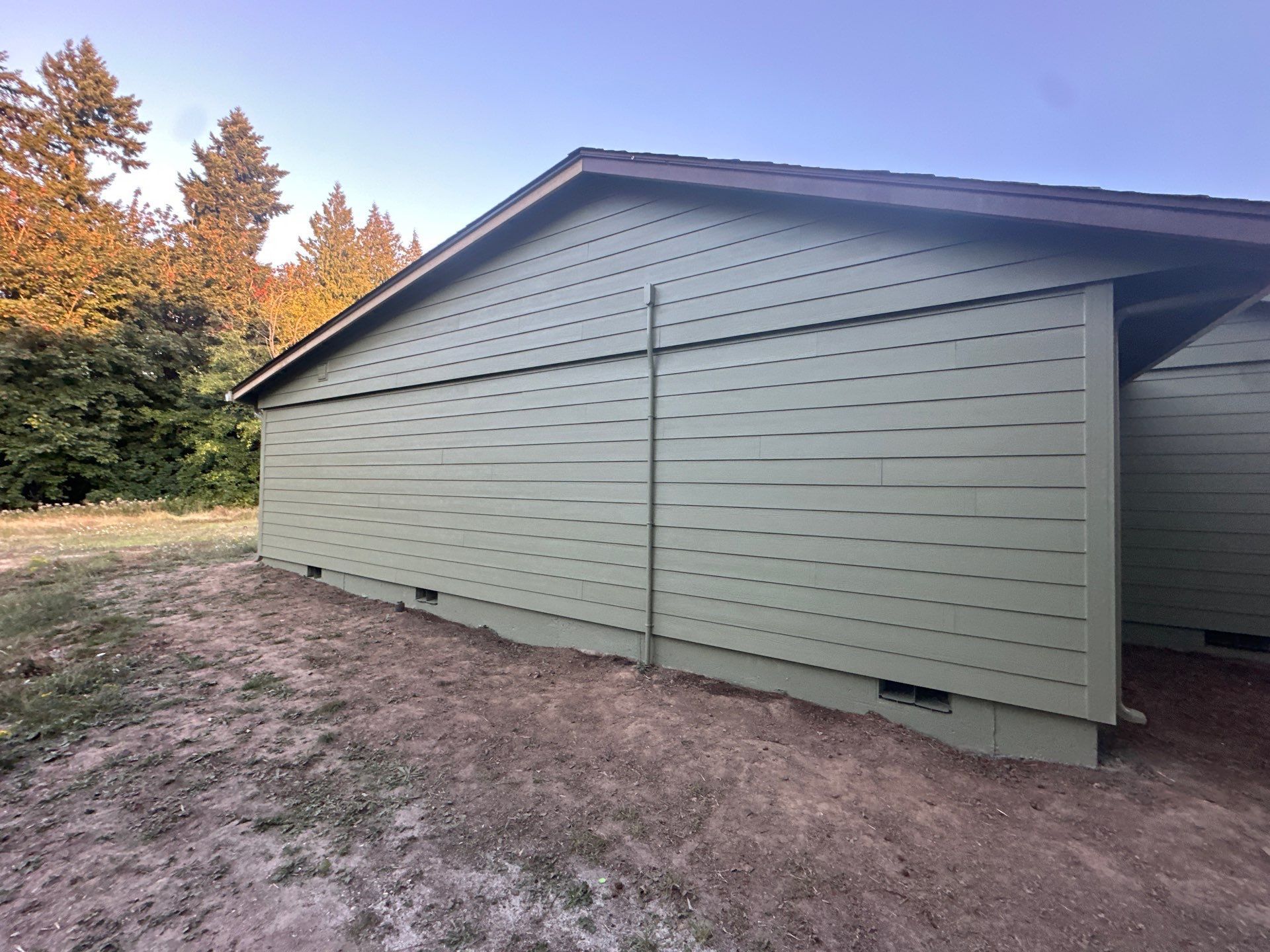 Side view of a pale green shed with a sloped roof in a wooded yard at sunset.
