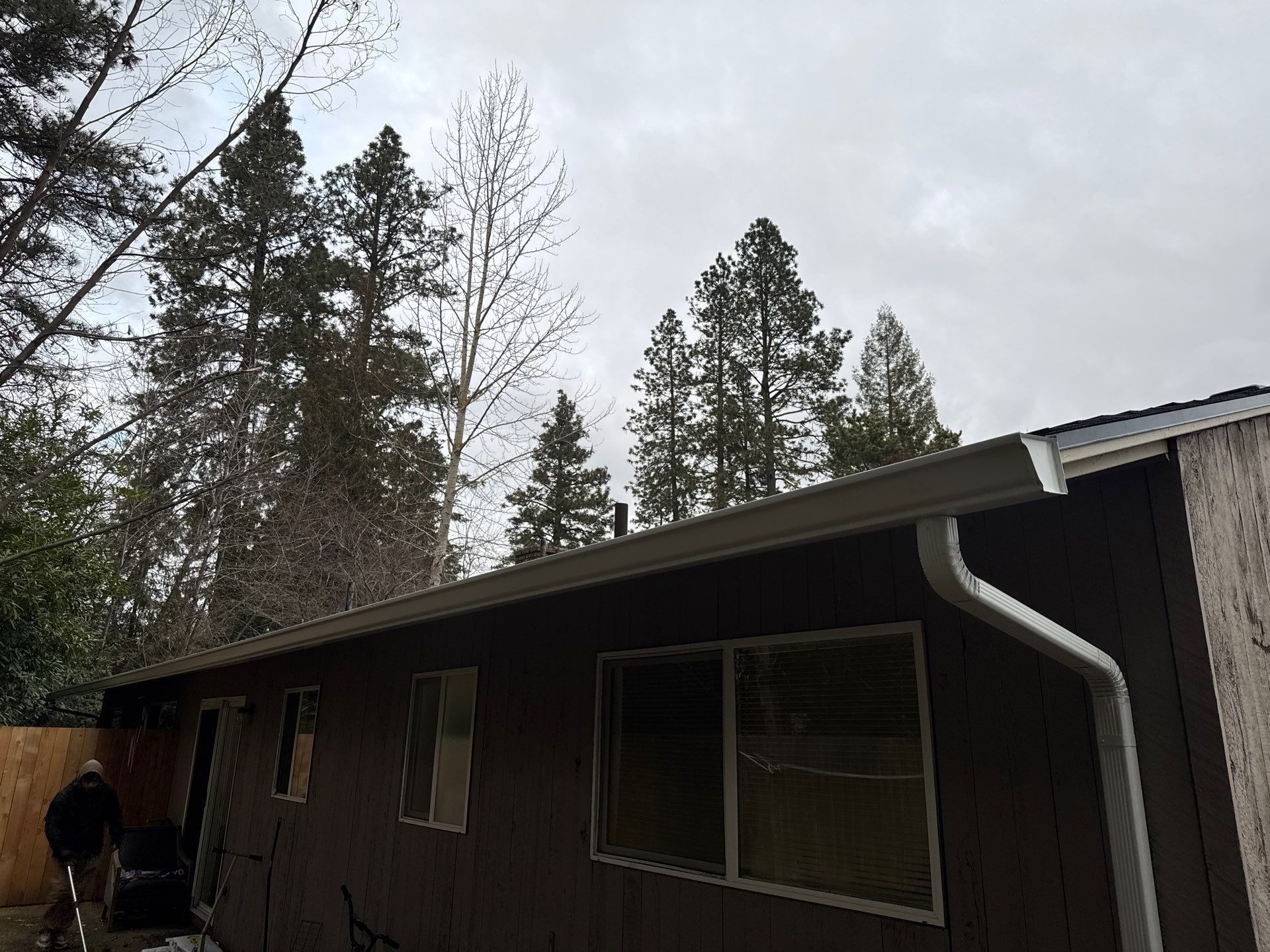Single-story brown house with large window, seen from below among tall pine trees under cloudy sky