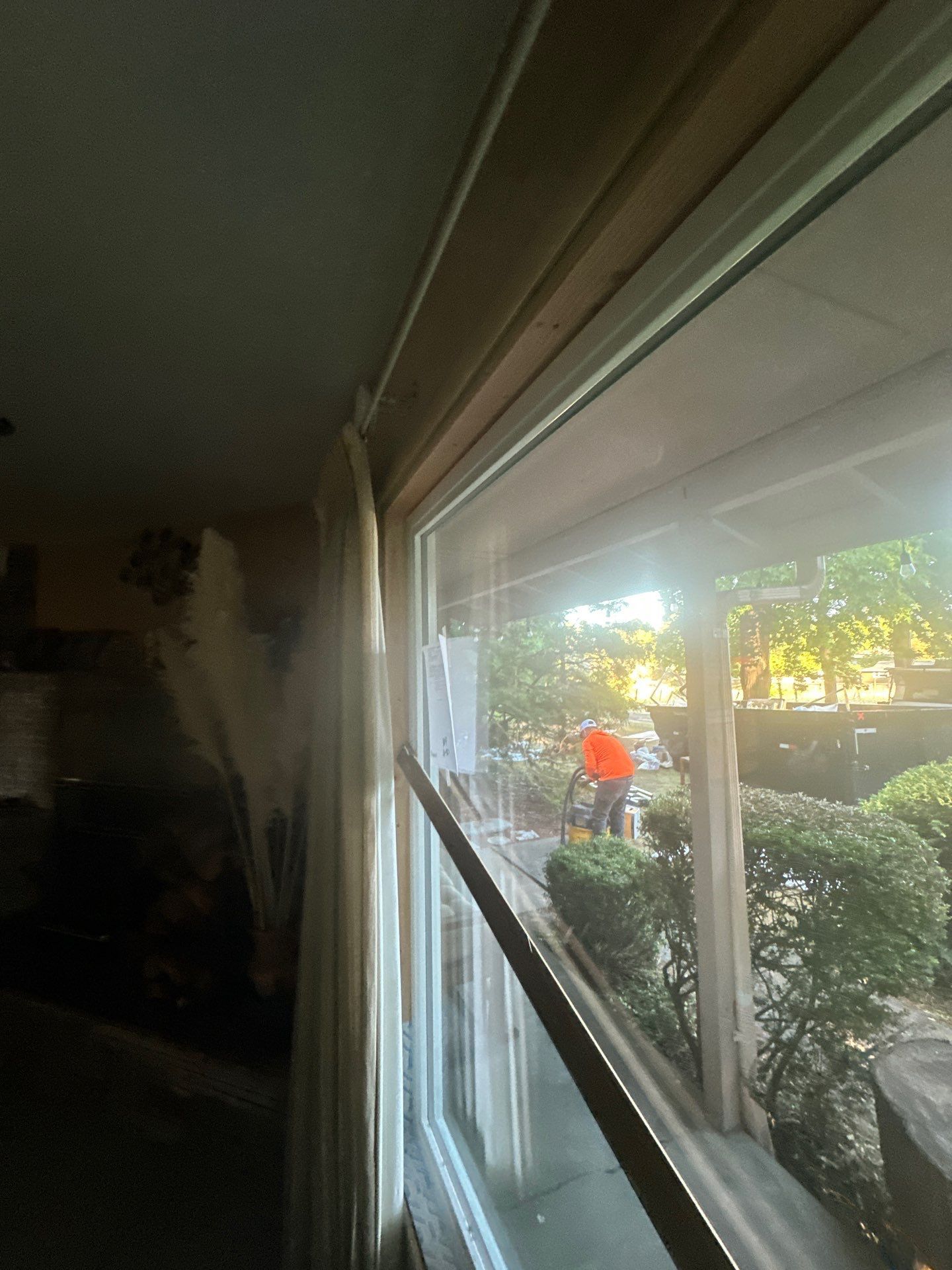 Interior view through a window to a sunny garden with bushes and a red flower.