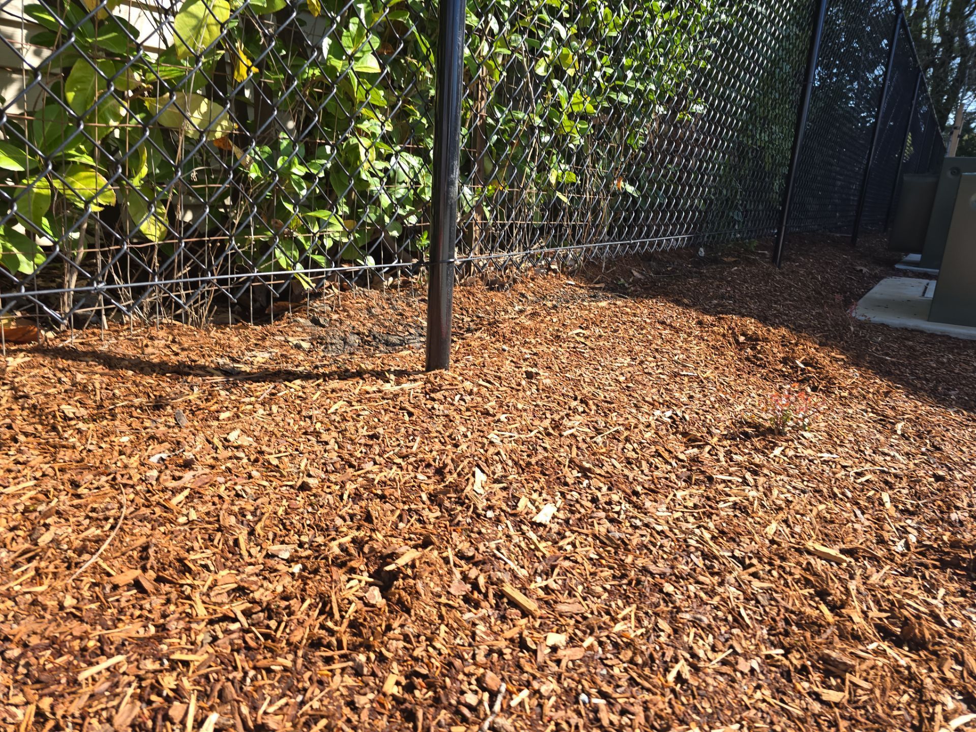 Woodchip-covered ground beside a chain-link fence in sunlight
