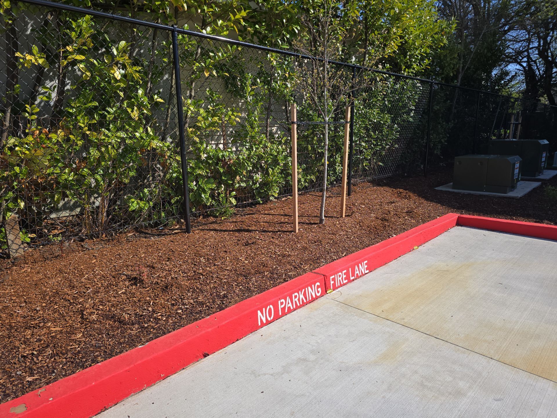 Red curb marked “NO PARKING FIRE LANE” beside a concrete walkway and landscaped fence line.