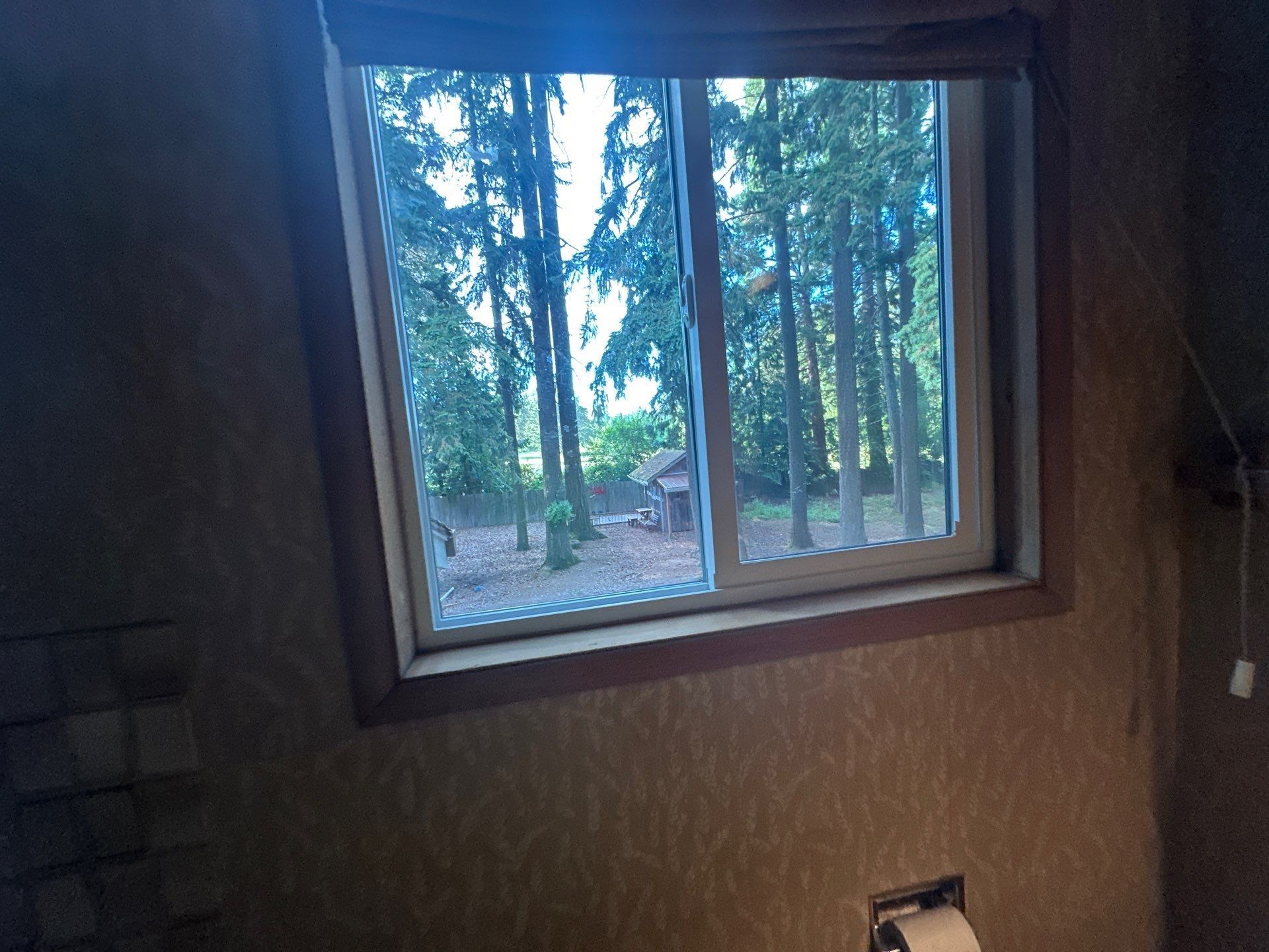 Window with a view of trees and forest outside a dimly lit room