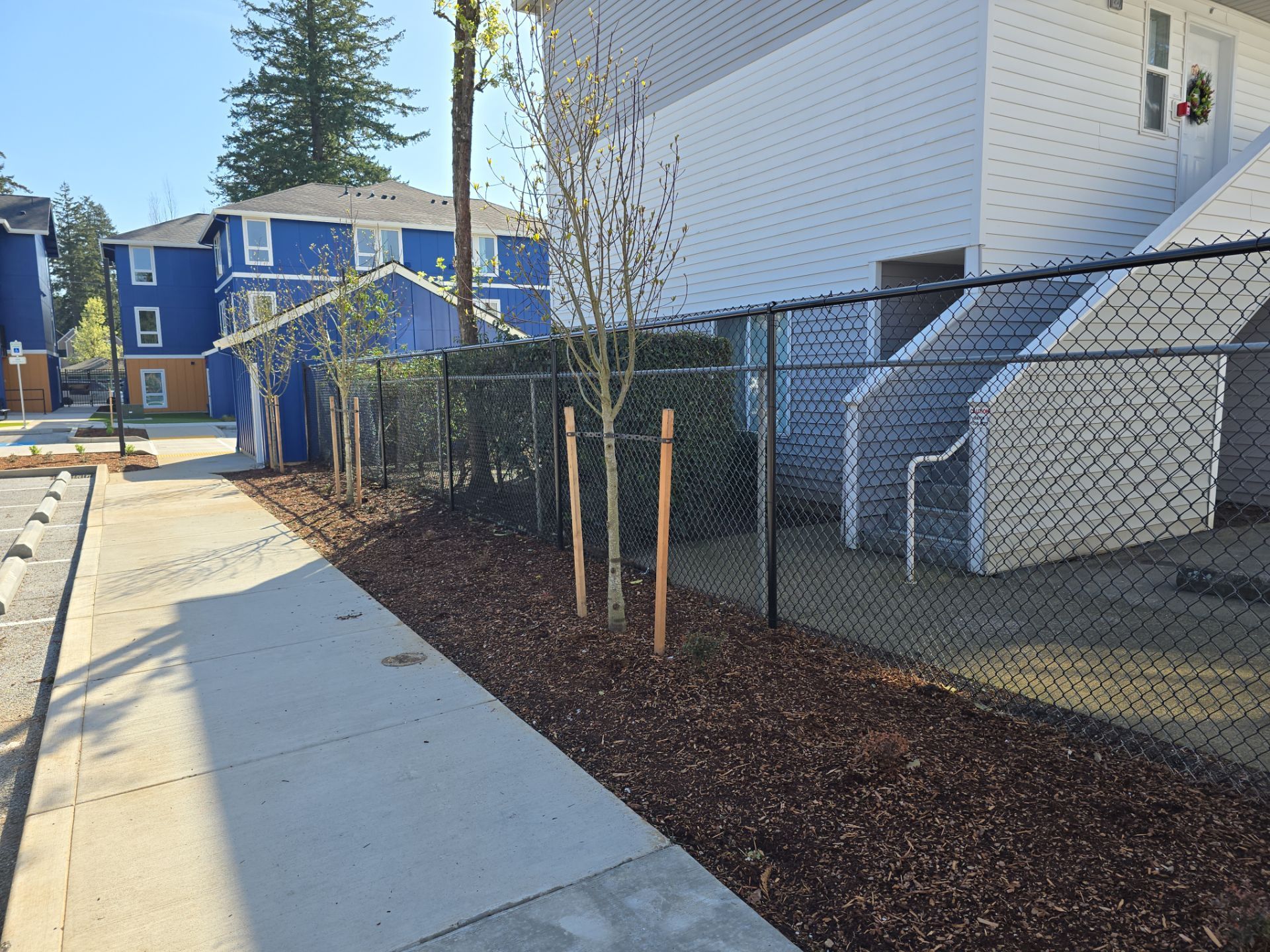 Sidewalk beside a white house and chain-link fence, with young staked trees and apartment buildings in the background.