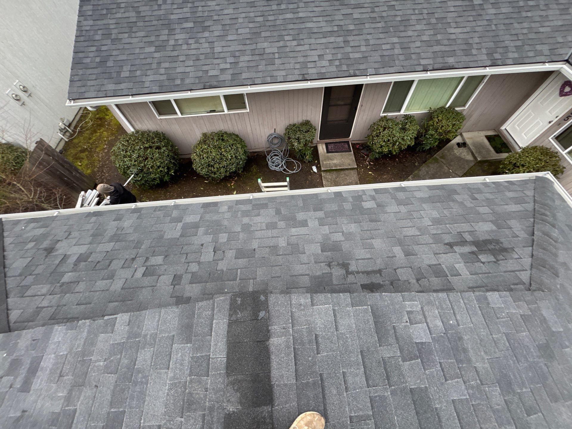 Roof view of a house with gray shingles, dormer windows, front shrubs, and a walkway below