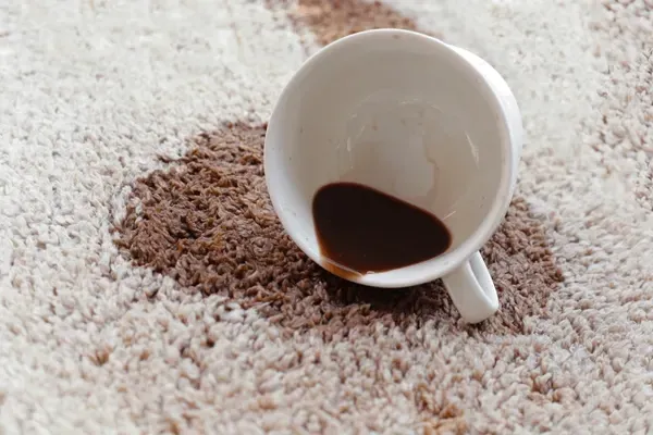 White coffee cup spilled on patterned beige and brown rug, staining the fibers.