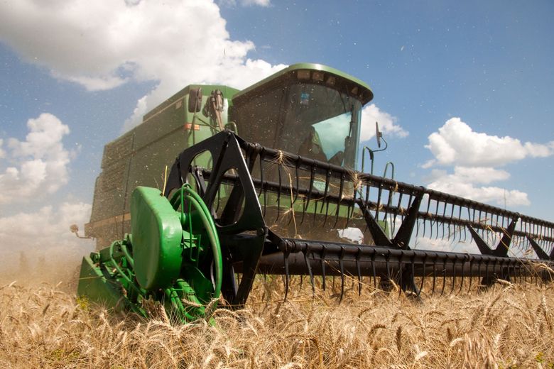 Green John Deere combine with black header.  Outside a building, blue sky, harvest scene.