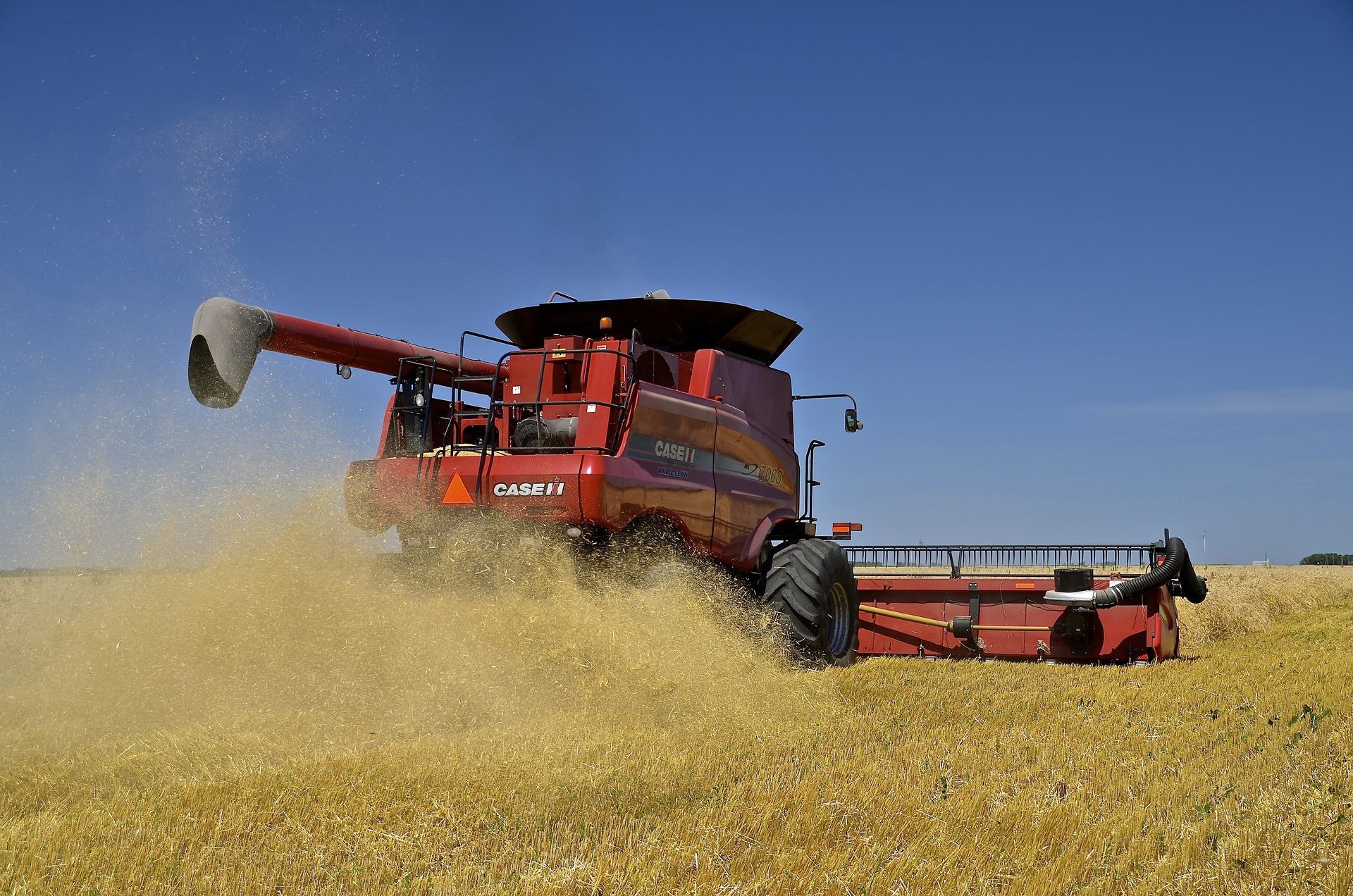 A large red combine harvester cuts through a field of golden wheat under a clear blue sky.
