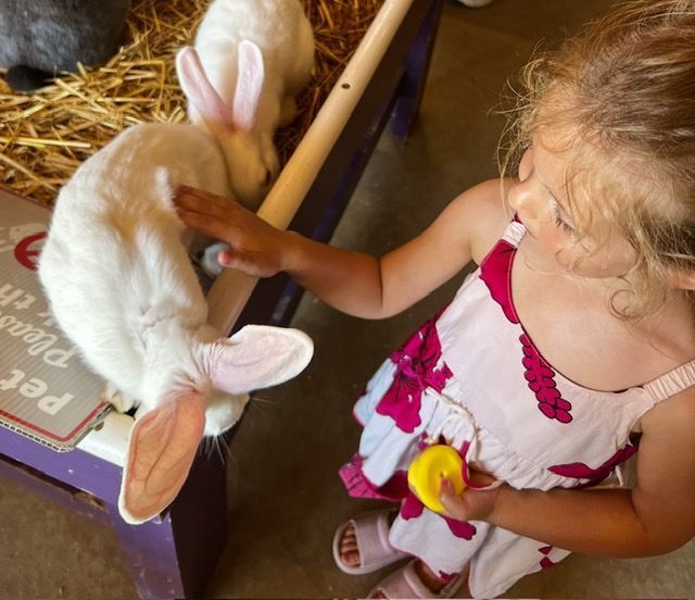 A kid and a bunny | Arie Nol Auto Center