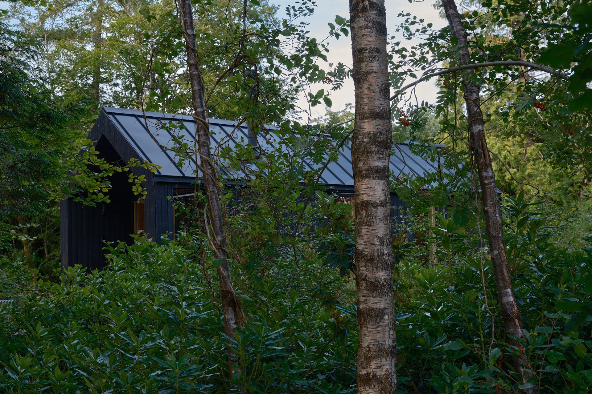 Kabn nestled in the trees