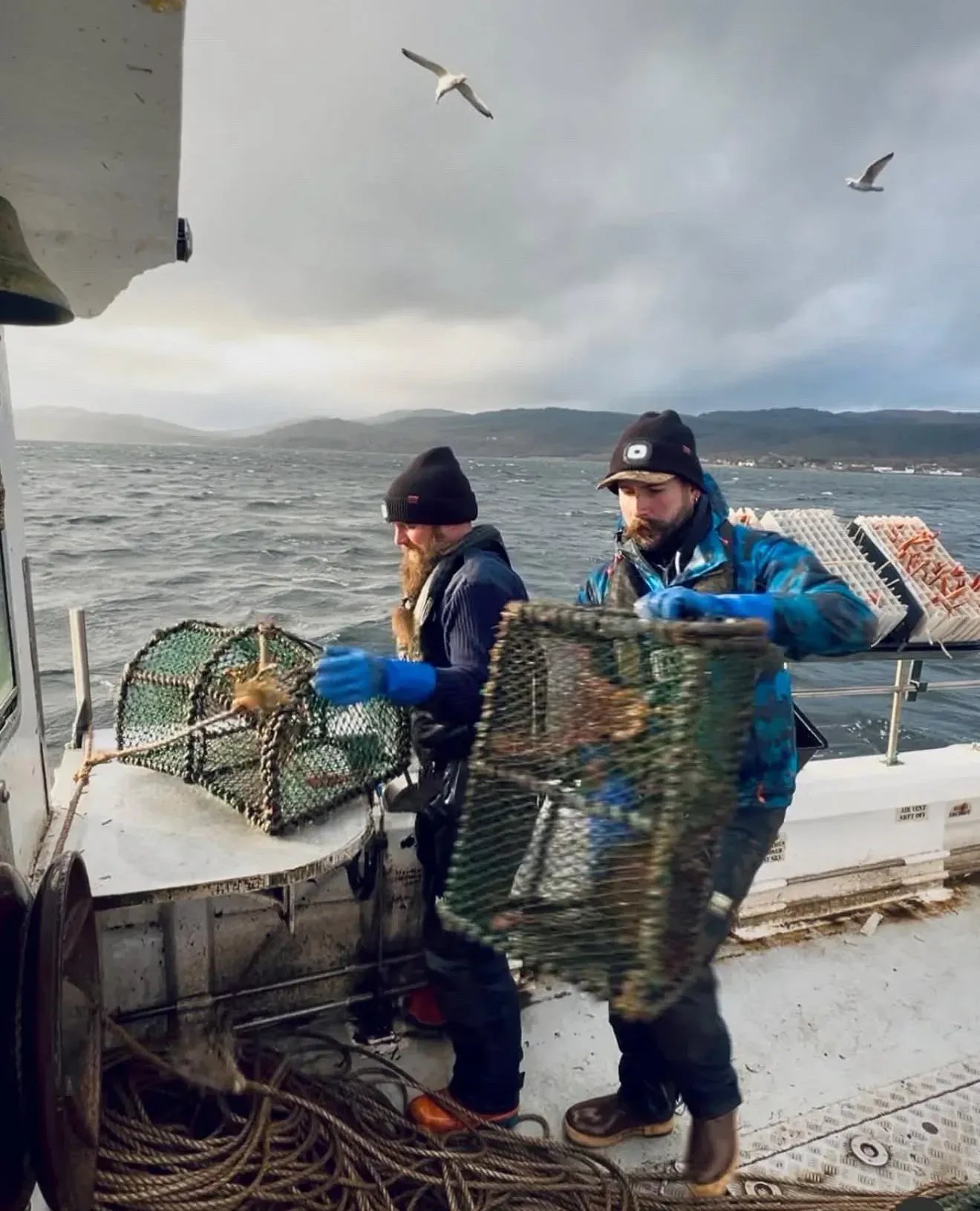 Local seafood close to kabn in Inveraray caught from the water outside the kabns