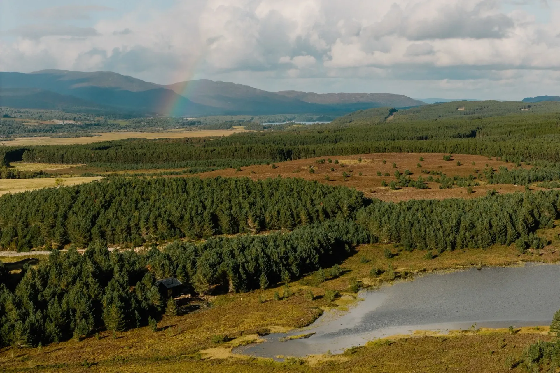 luxury cairngorms Cabin under a starry night sky, stargazing, path with lights, surrounded by trees and a lake.