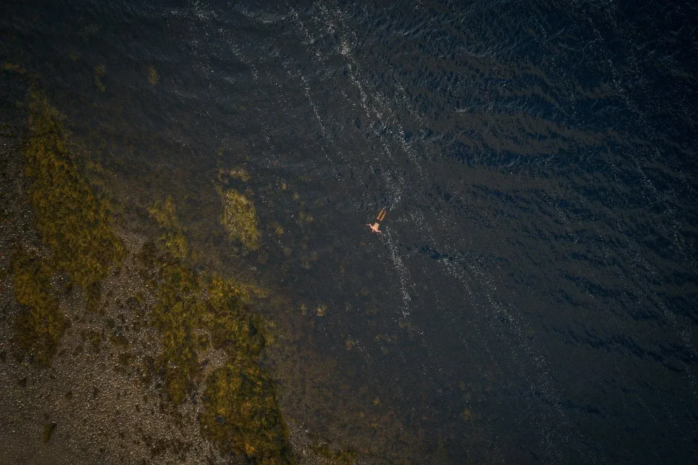 Shimmering water ripples.