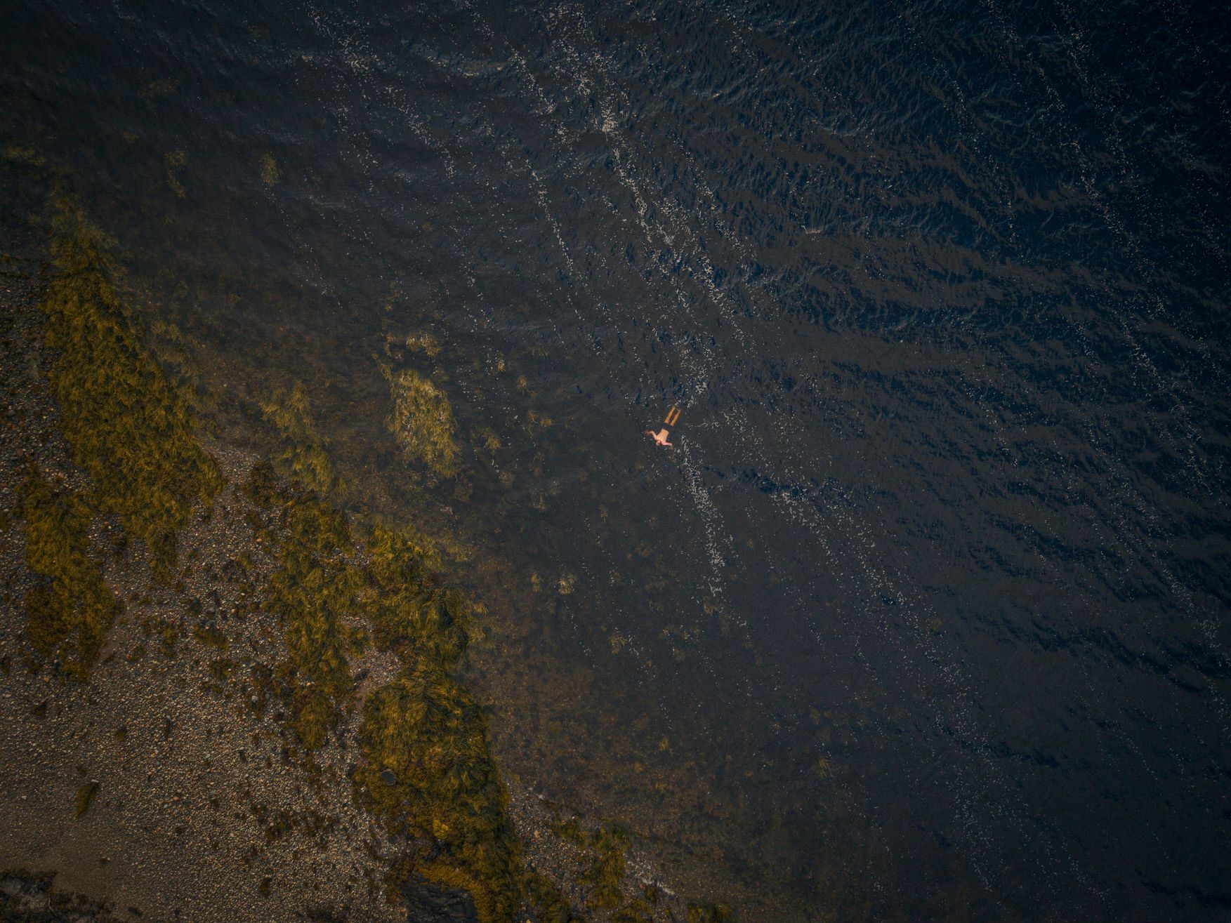 A person swims in dark water near a mossy shoreline.