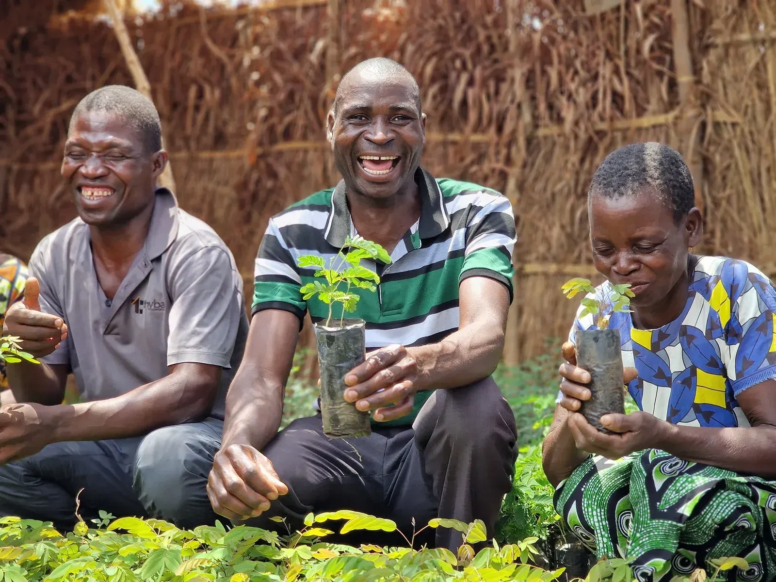 Community members in Malawi holding tree seedlings grown with Ripple Africa