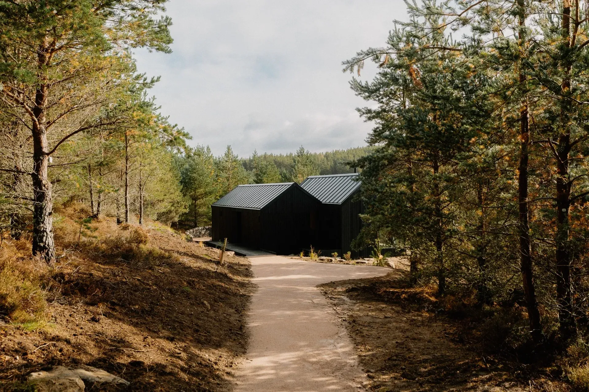 Woodland path leading to Moya Kabn, a secluded black timber cabin in the Cairngorms