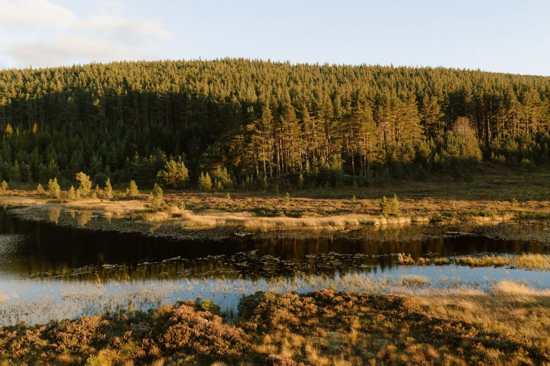 Golden evening light over Moya's secluded lochan and surrounding Cairngorms pine forest