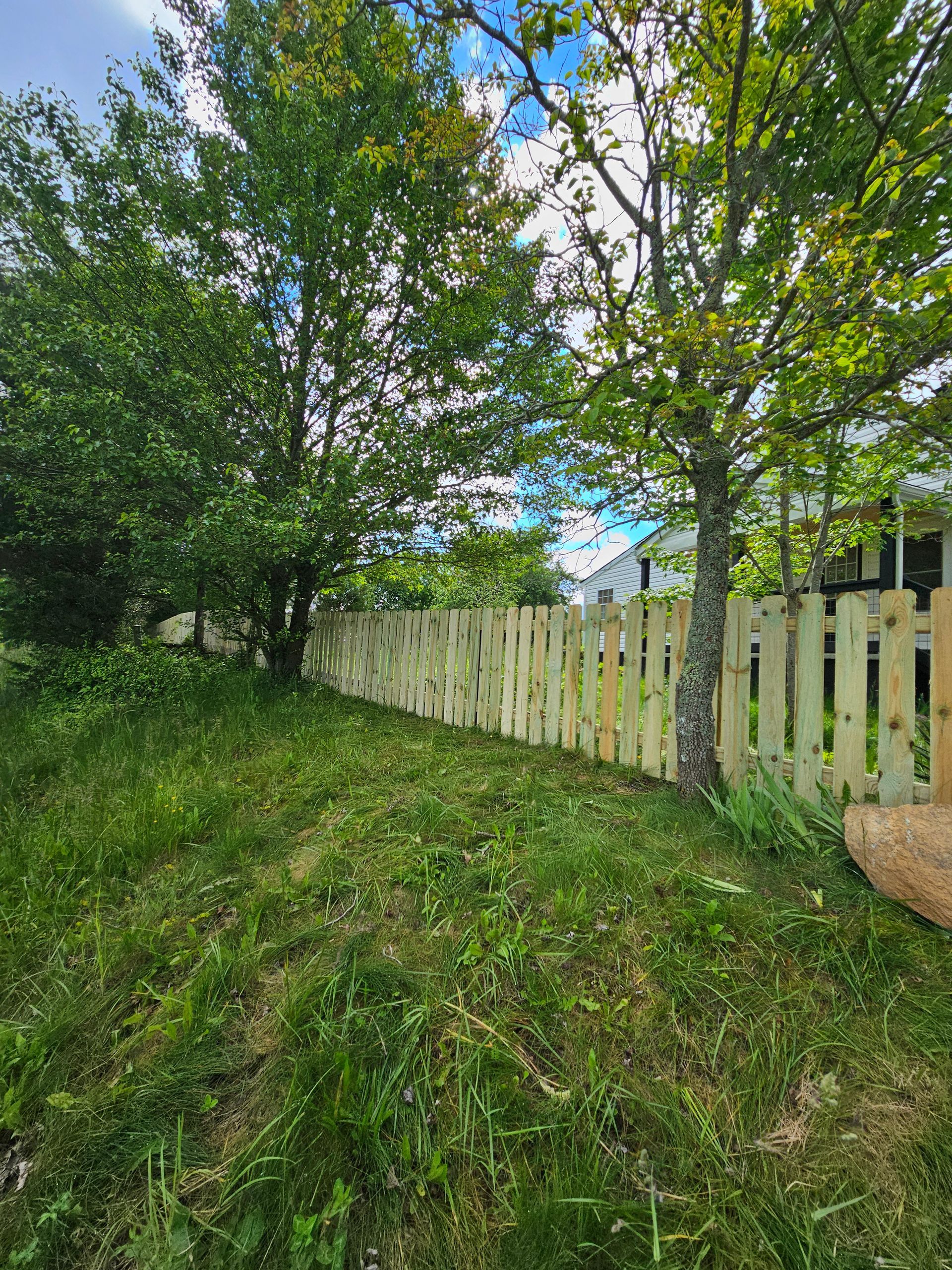 Grassy backyard with trees and a white picket fence under a partly cloudy sky