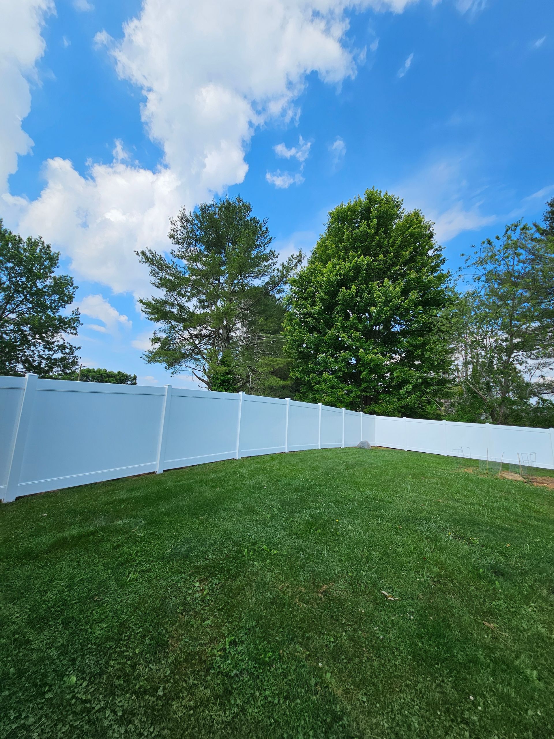 Backyard with green lawn, white fence, and trees under a blue sky with clouds