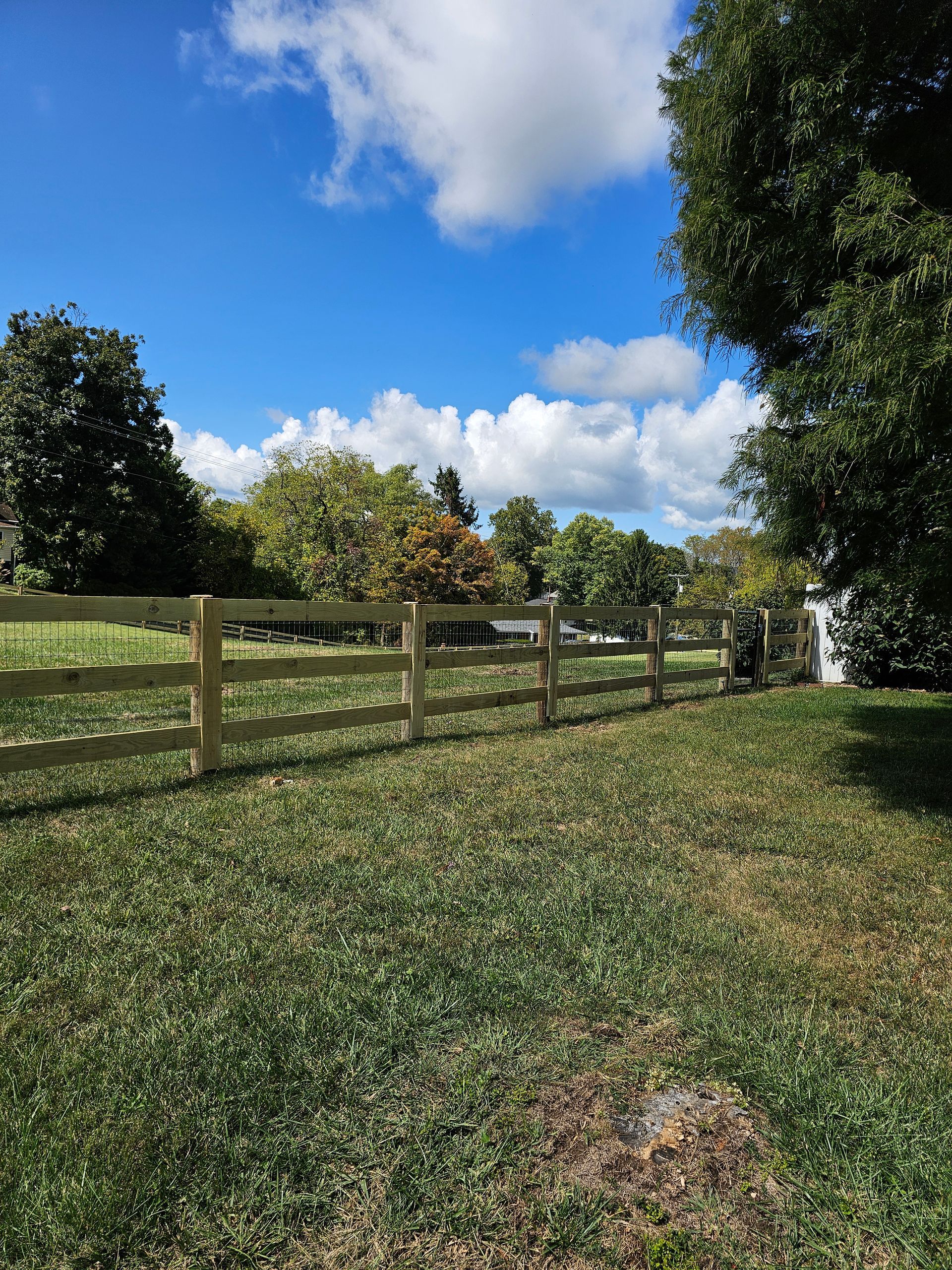 Wooden fence beside a grassy field under a bright blue sky with scattered clouds and trees.