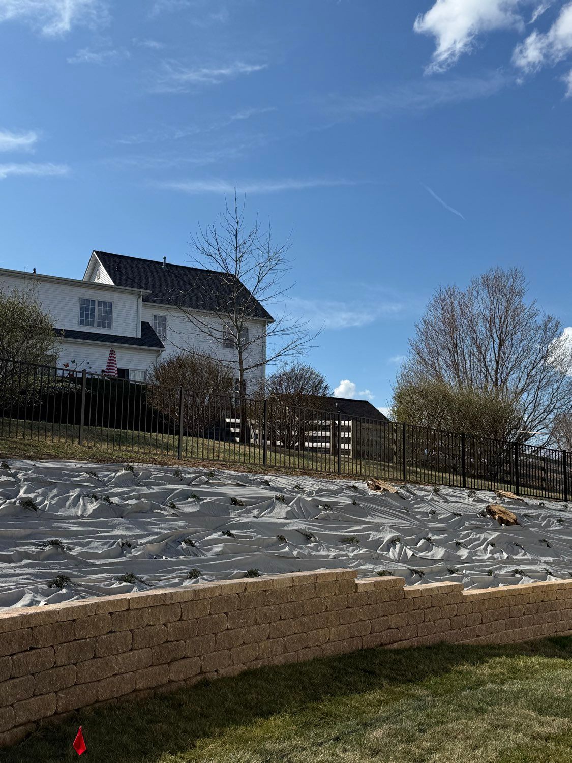 Backyard garden with raised bed covered in plastic, house and leafless trees under a blue sky