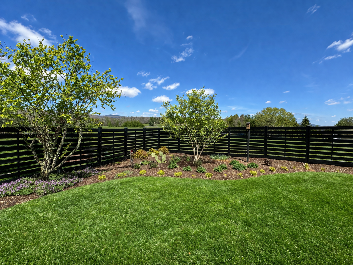 Backyard garden with green lawn, black fence, and trees under a bright blue sky