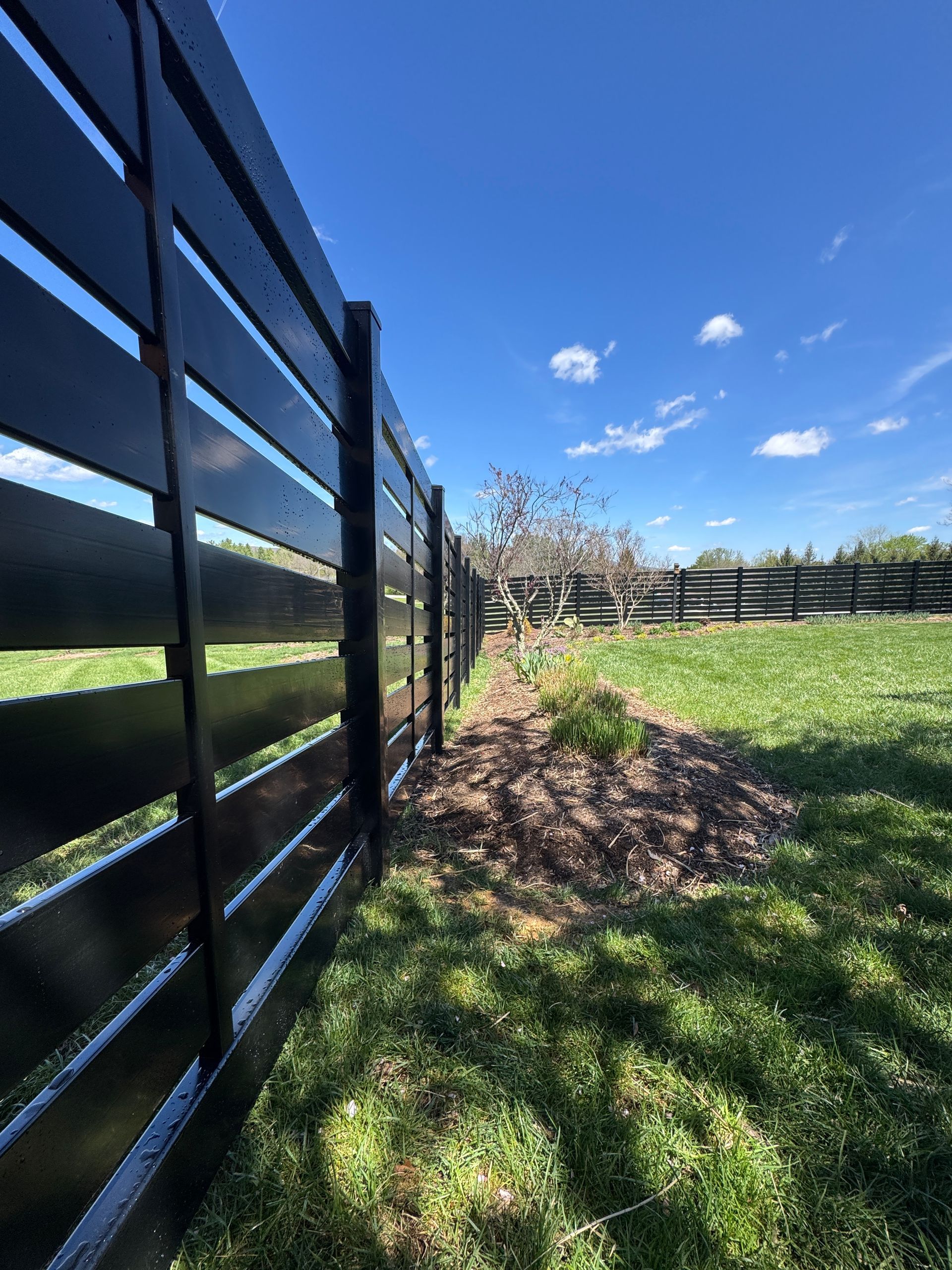 Black metal fence beside a grassy yard under a bright blue sky