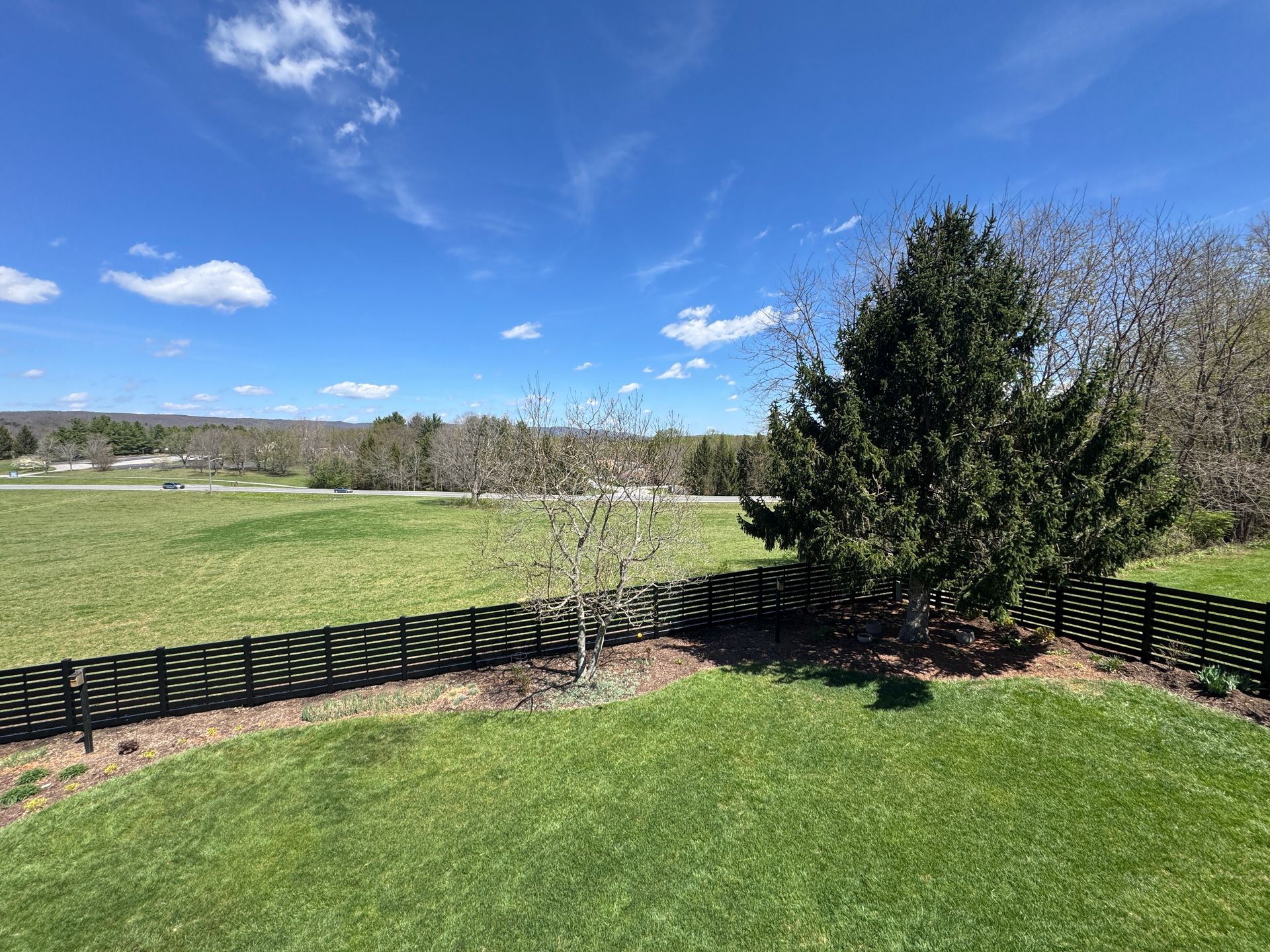 Sunny backyard with green lawn, black fence, evergreen tree, and open field under blue sky