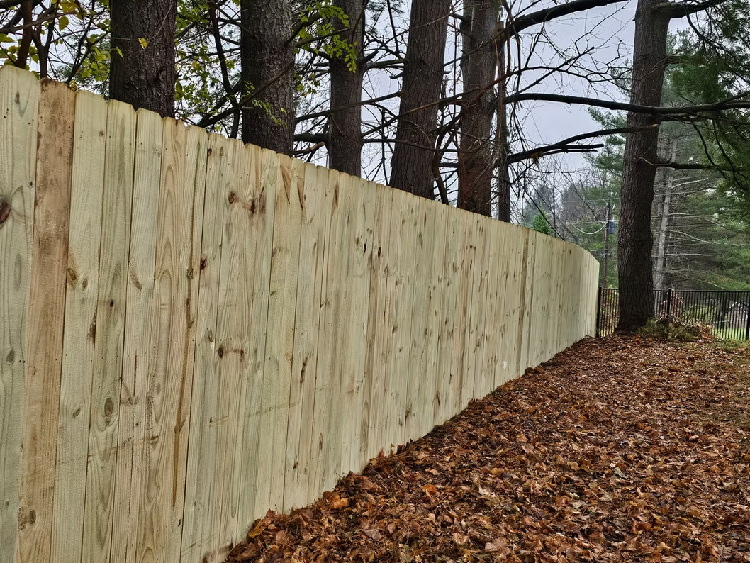 Wooden fence along a leaf-covered wooded path in a forest