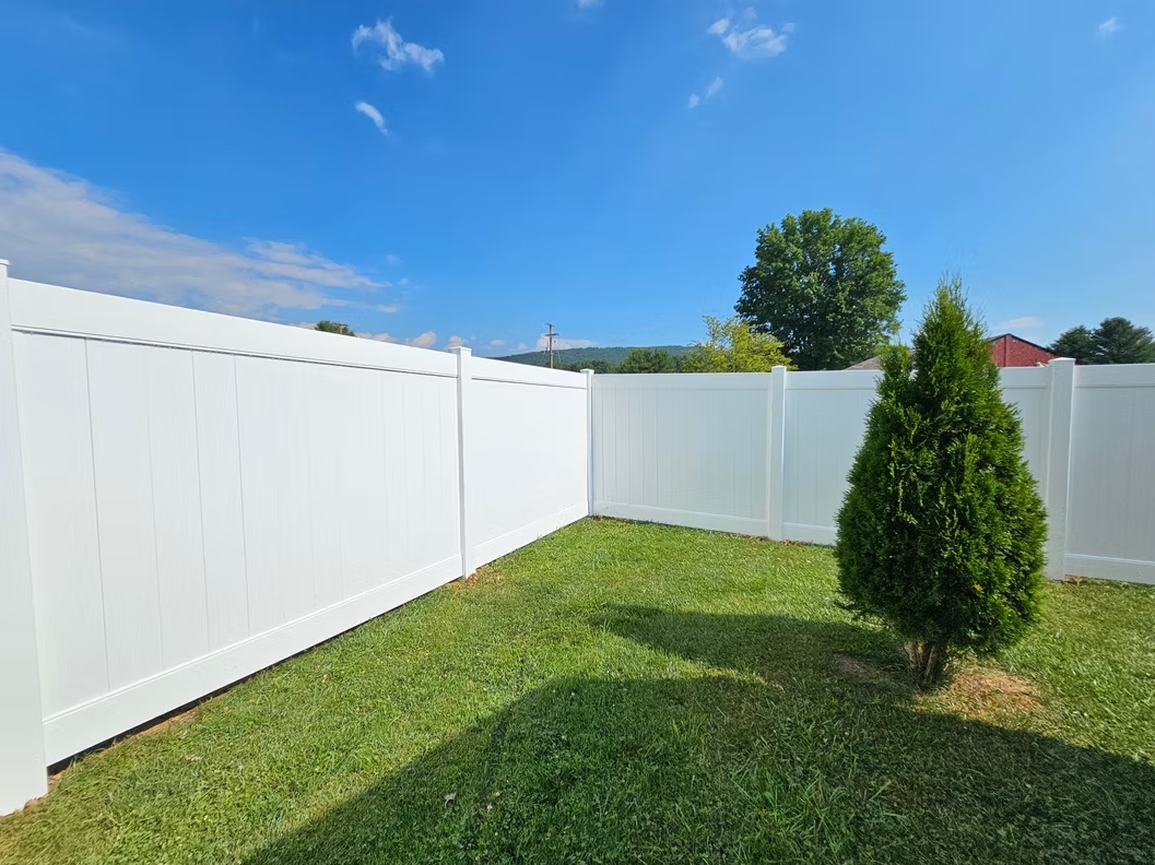 Backyard with white vinyl fence, green lawn, blue sky, and a small evergreen tree