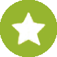 Star Icon