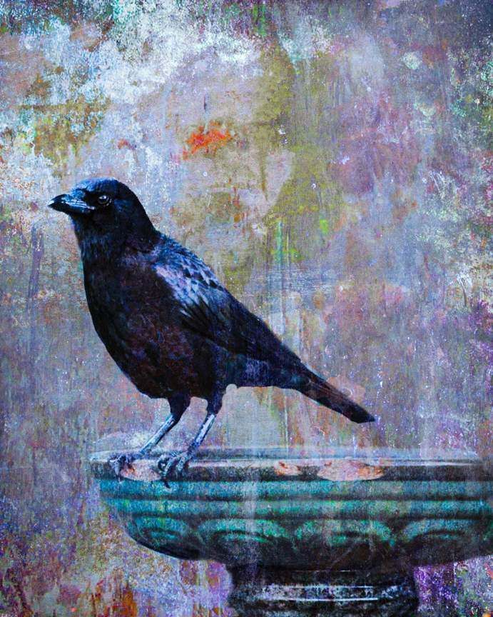 A black bird is perched on top of a bird bath.