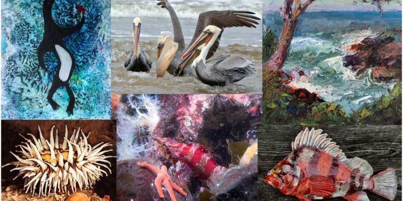 Featured artworks in the art show entitled