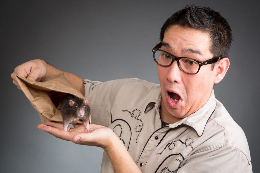 A man with glasses is holding a rat in his hand.