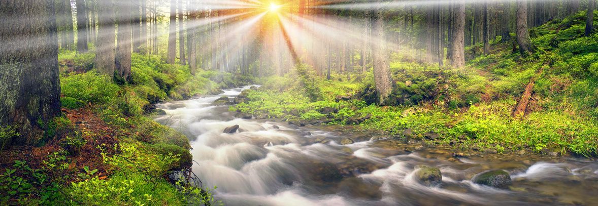 Bright sunlight on fast-flowing stream in woodland
