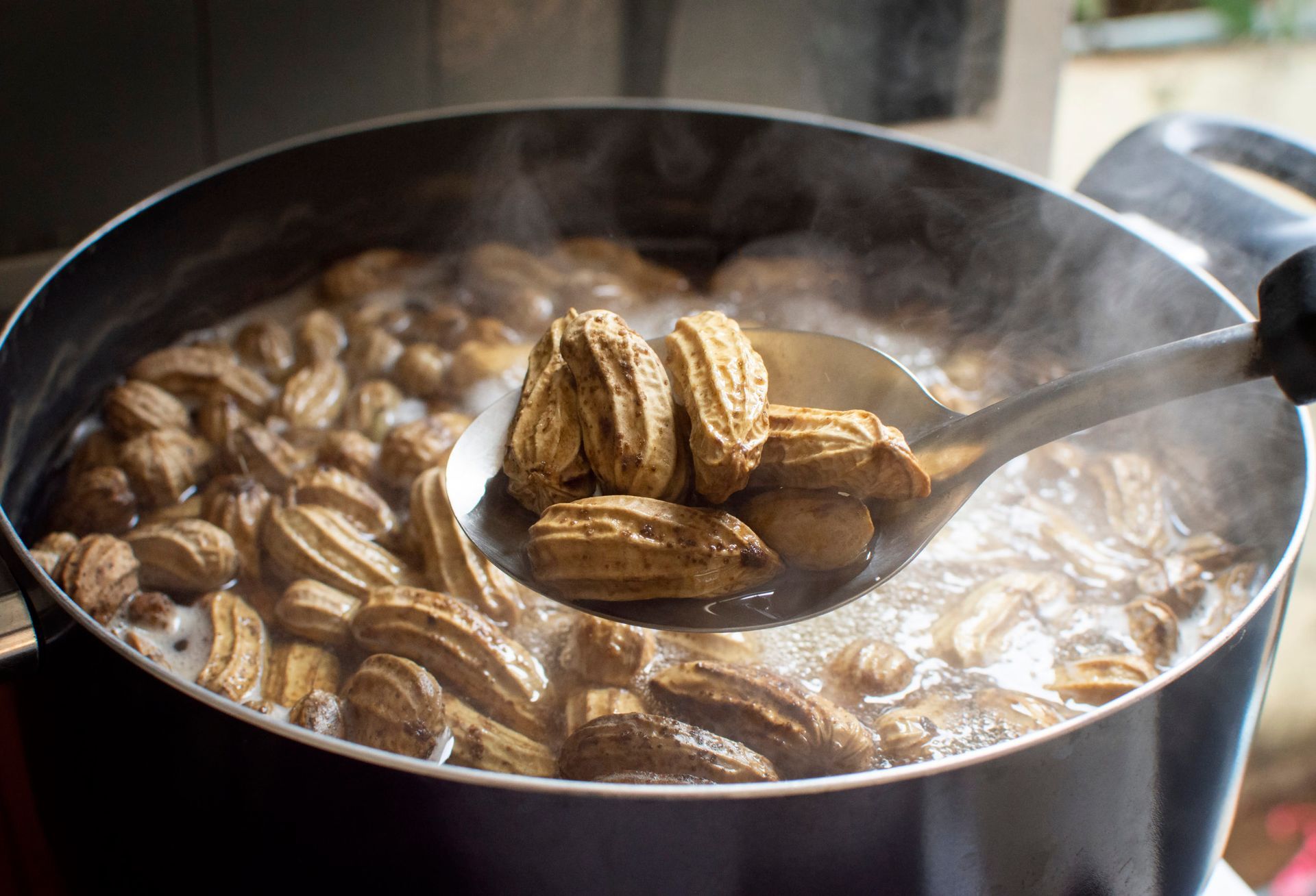 Boiling peanuts in a pot. A ladle holds several cooked peanuts, steam rising from the hot water.